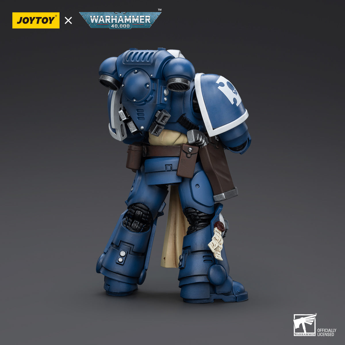 Back view of Ultramarines Sternguard Veteran with Bolt Rifle, highlighting the power pack, rear armor, and the weapon’s placement on the figure.
