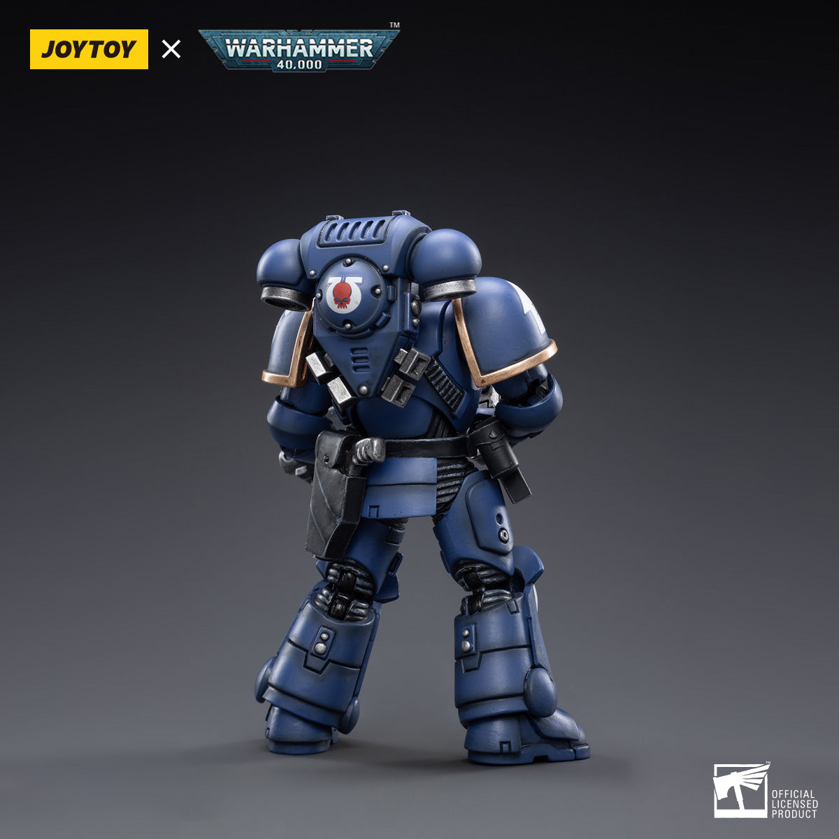 Back view of Ultramarines Veteran Sergeant Castor, highlighting the intricate detailing on his armor, including the power pack
