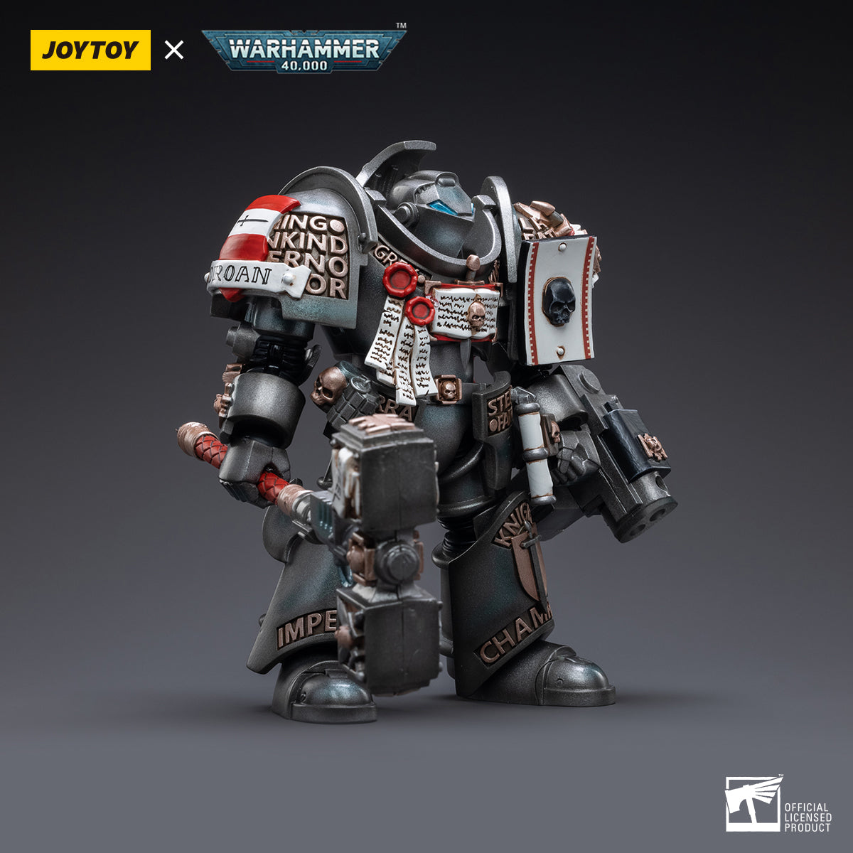 Grey Knights Terminator Caddon Vibova