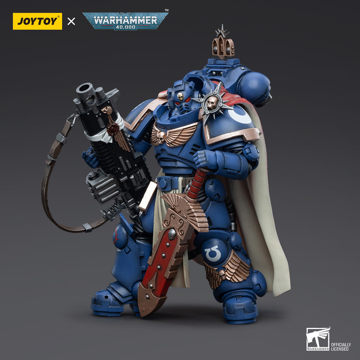Captain with Master crafted Heavy Bolt rifle