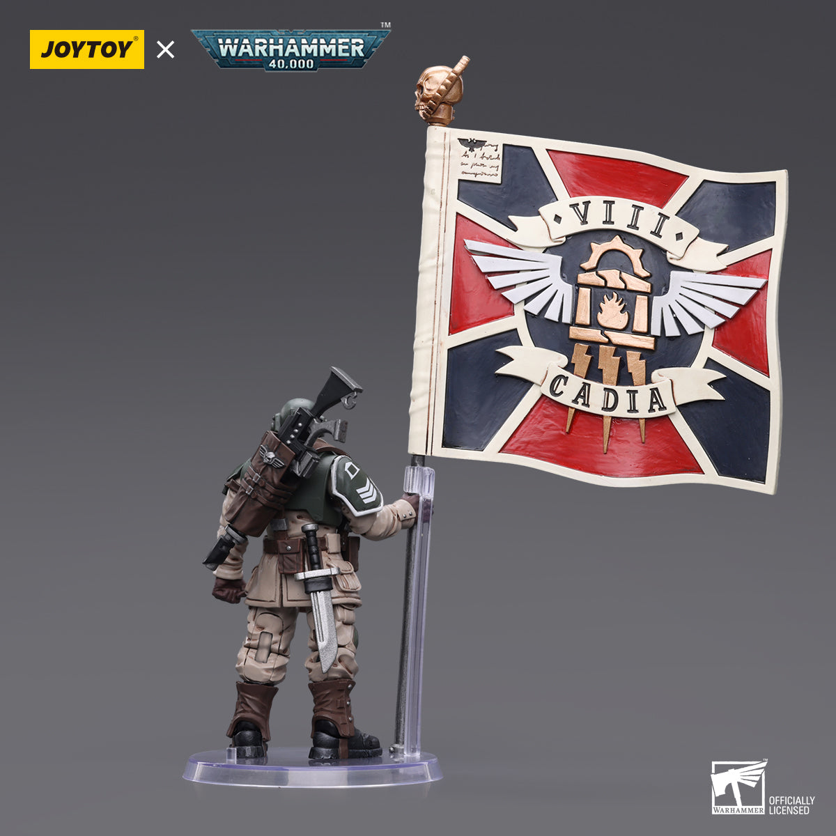 Back view of the Cadian Command Squad Veteran with Regimental Standard. The flag is prominently displayed, draped across the standard pole, symbolizing the pride of the Cadian Guard.