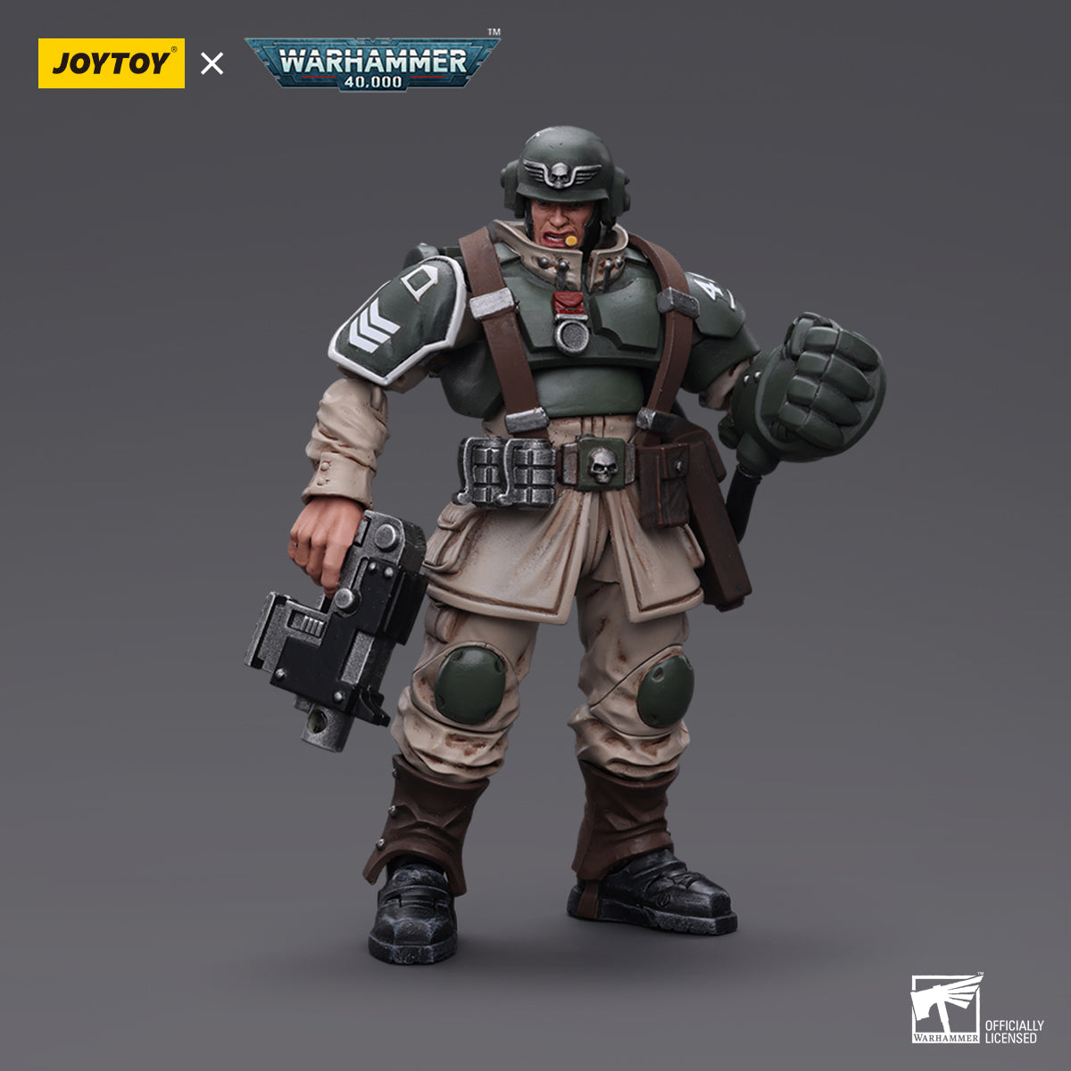 Veteran Sergeant with Power Fist