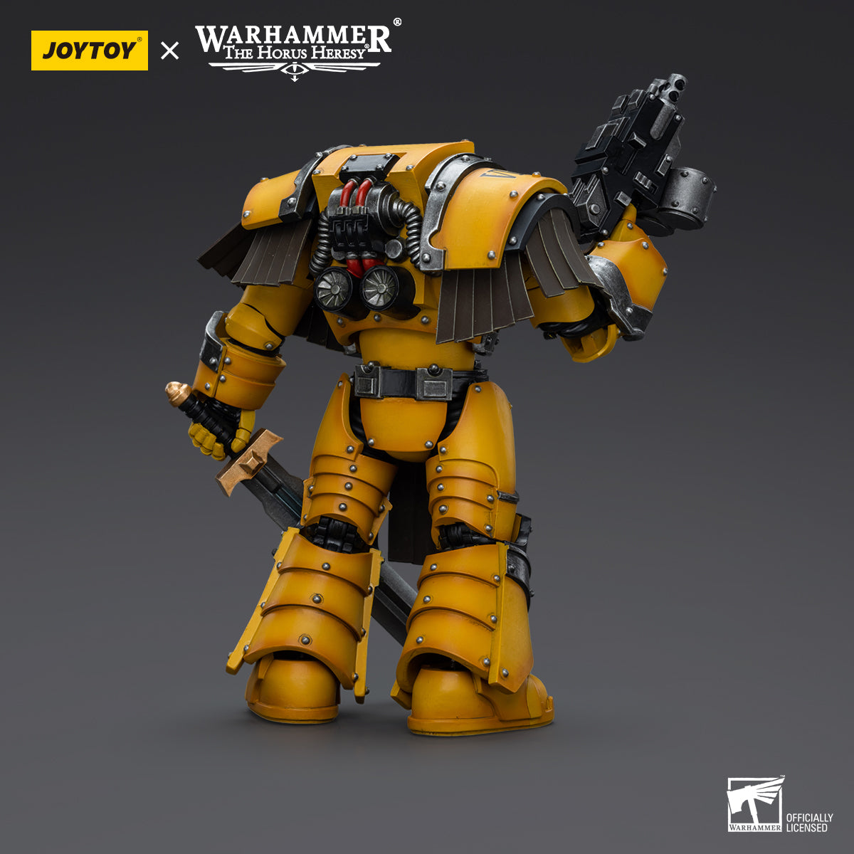 Back view of Imperial Fists Cataphractii Terminator Sergeant with Power Sword